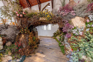 Clanwilliam Veldblommeskou 2025