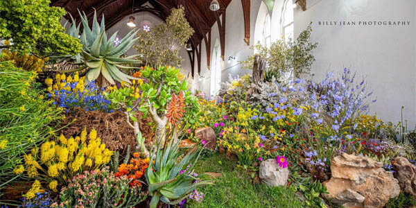Clanwilliam Veldblommeskou 2025